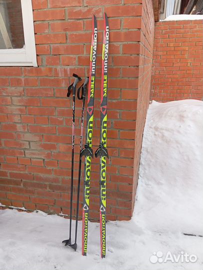 Беговые лыжи