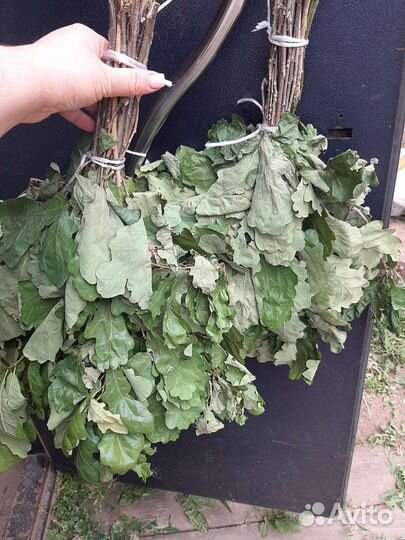 Веники для бани свежие