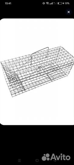 Котоловушка