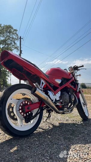 Suzuki bandit 250