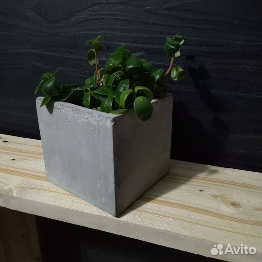 Кашпо, Вазоны, Горшки под заказ из бетона