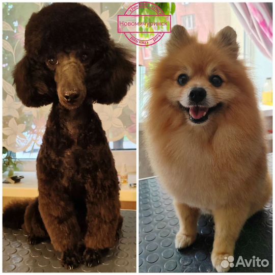 Груминг, тримминг