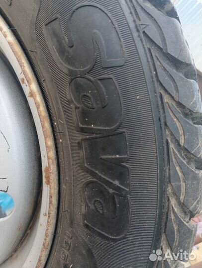 Sava Eskimo Stud 185/70 R14