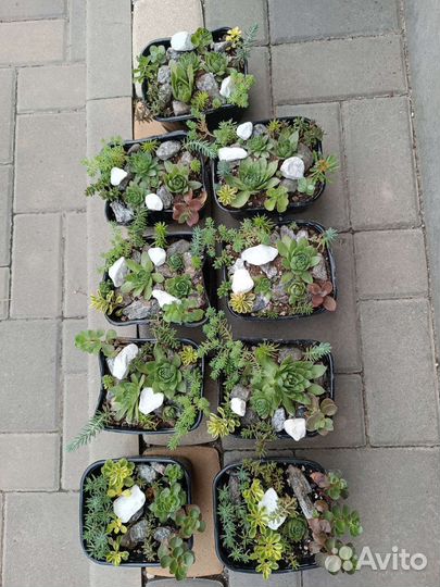 Альпийская горка