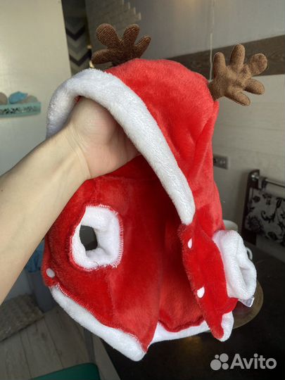 Костюм для кошек