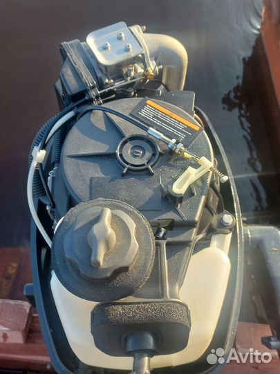 Лодочный мотор