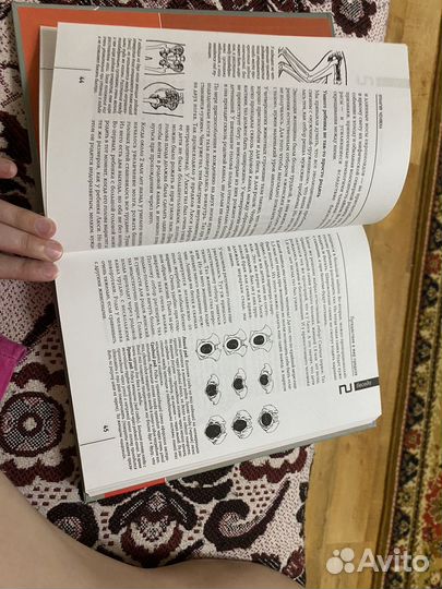 Дольник. Непослушное дитя биосферы