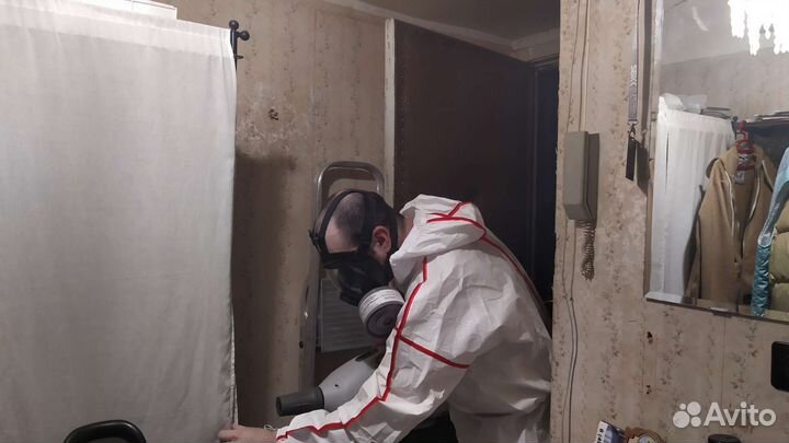 Уничтожение тараканов клопов блох Дезинфекция