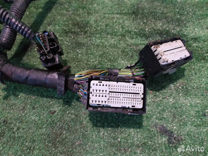 Жгут проводки двигателя Ford Focus 3 (CB8) 2015