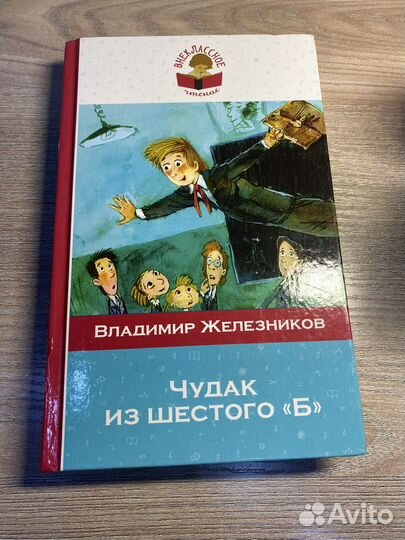 Чудак из шестого 