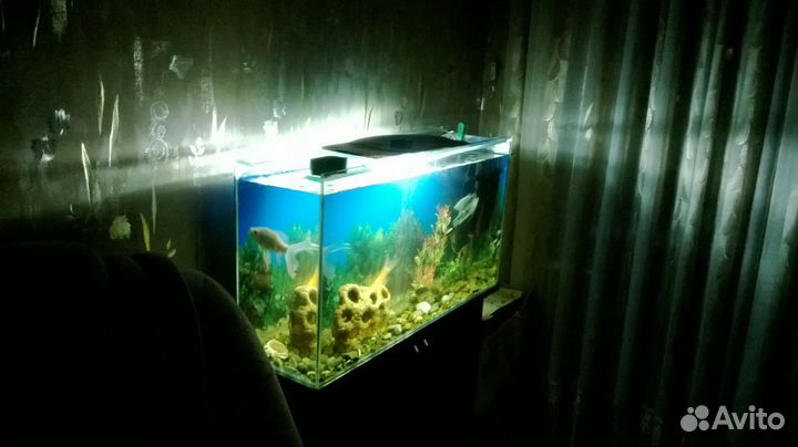 Аквариум