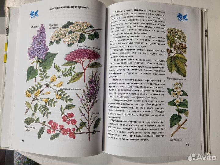 Атлас- определитель от земли до неба 1-4 класс