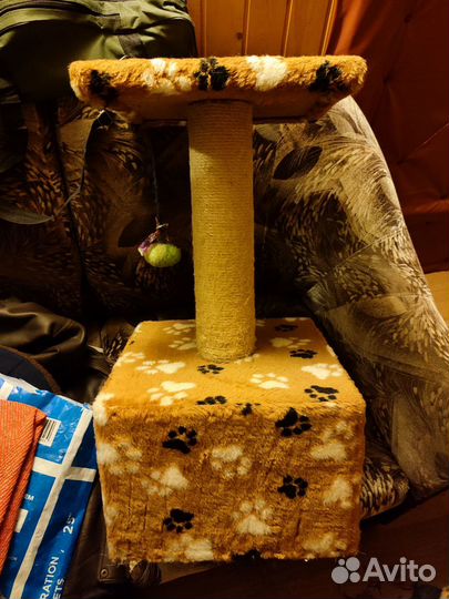 Когтеточка и кошачий домик с игрушкой