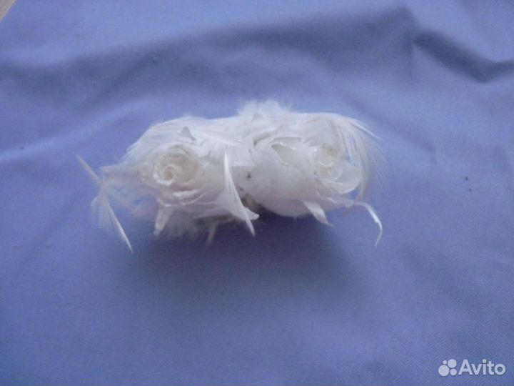 Фурнитура швейная.Пряжки.Тесьма.Украшения.Декор