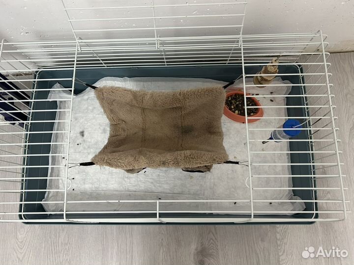 Клетка для грызунов бу