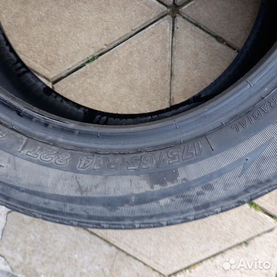 Tigar Sigura 175/65 R14