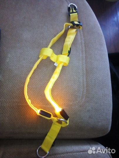 Шлейка светящаяся