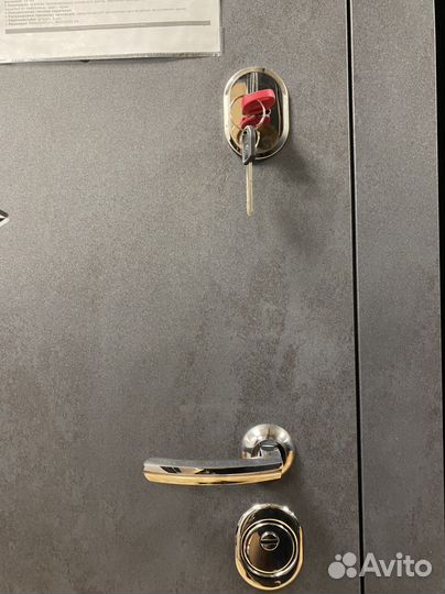 Дверь входная Феникс