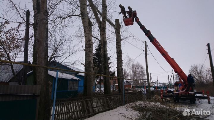 Спил деревьев, расчистка участка, обрезка веток