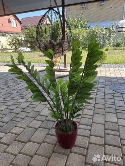 Замиокулькас в горшке искусственный