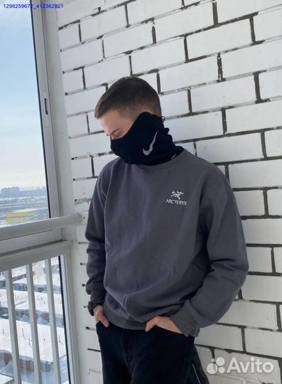 Свитшот Arcteryx серый (Арт.25273)