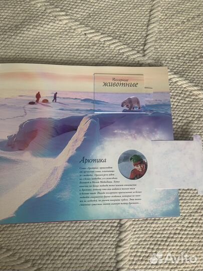 Санта клаус правдивая история Род Грин