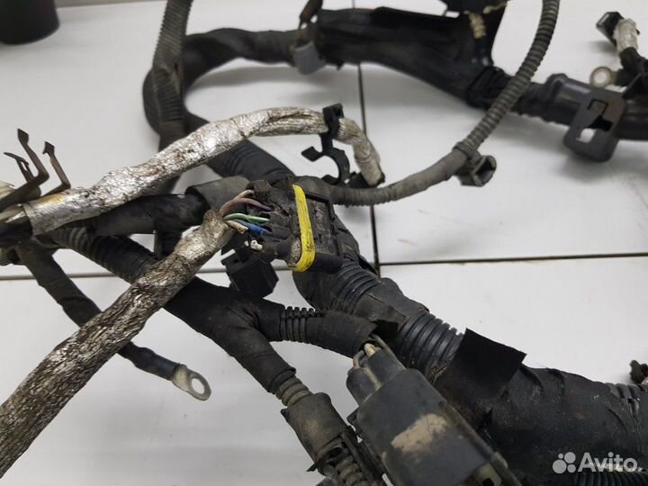 Электропроводка двигателя (Ford Transit viii)