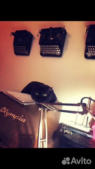 Ремонт,наладка ваших печатных машинок