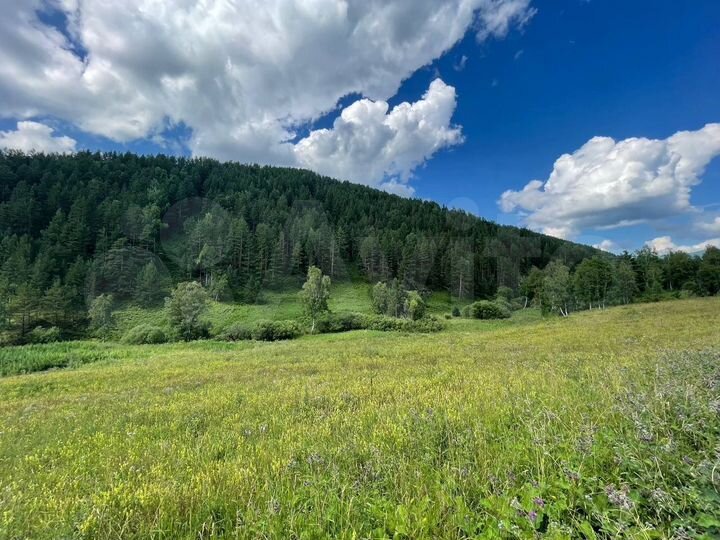 Участок 10 га (СНТ, ДНП)