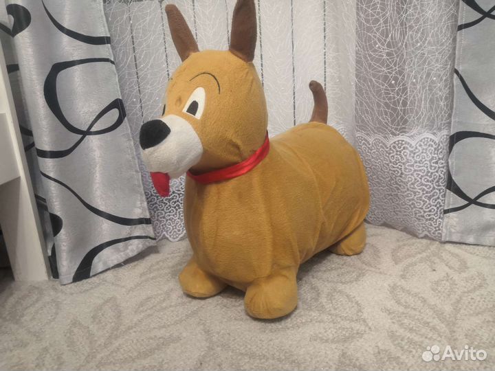 Собака прыгунки