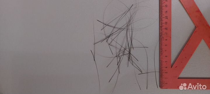 Усы кота мейн куна