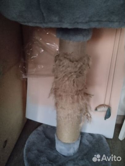 Когтеточка