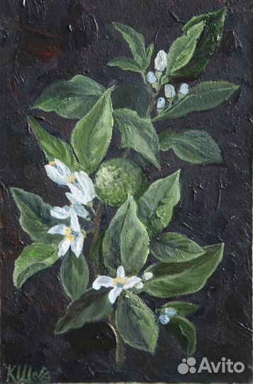 Картины маслом Лимон и Роза 20*30, 2 шт