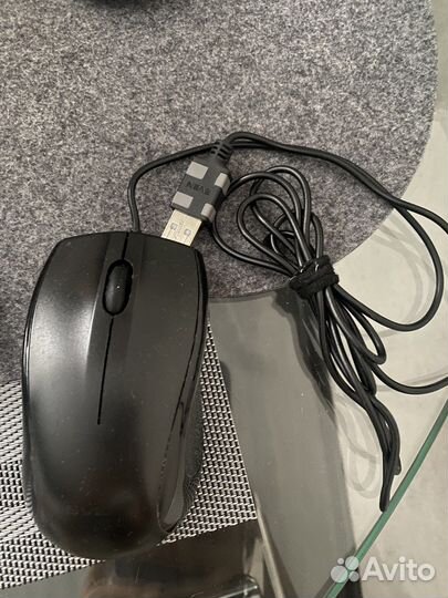 Мышь