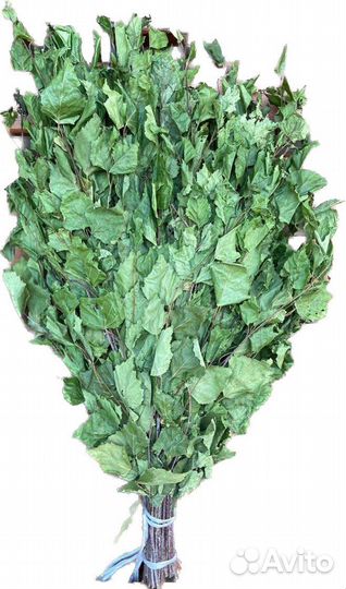 Банные берёзовые веники