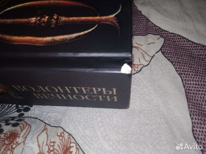 Макс Фрай Волонтеры вечности