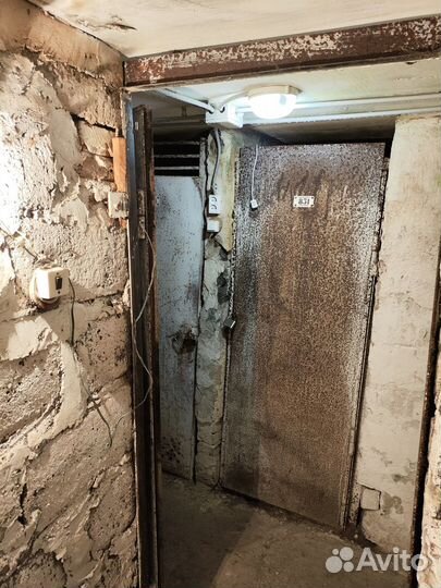 Ячейка В овощехранилище