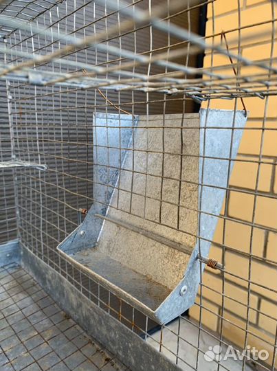 Клетка для разведения шиншилл