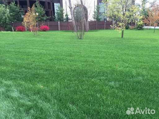 Укладка рулонного газона