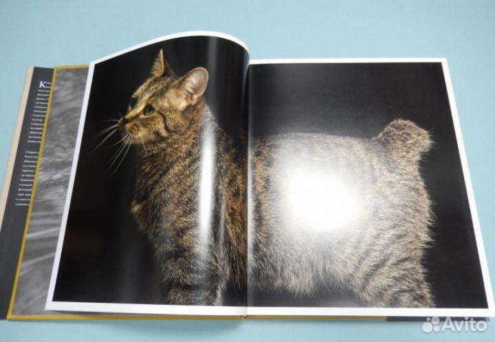 Энциклопедия кошек