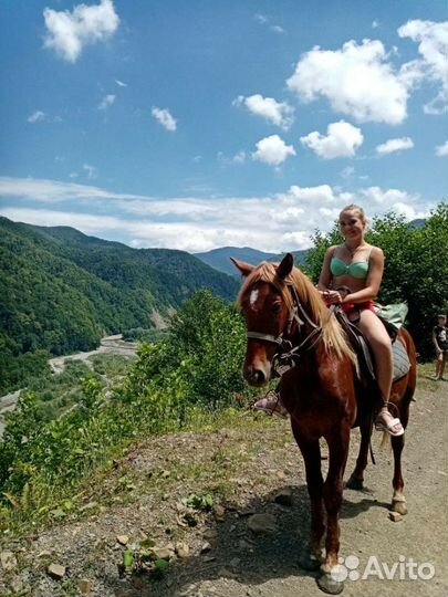 Конные прогулки в п. Лазаревское