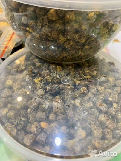 Перга 2023. Перга натуральная. Перга полезная. Мед