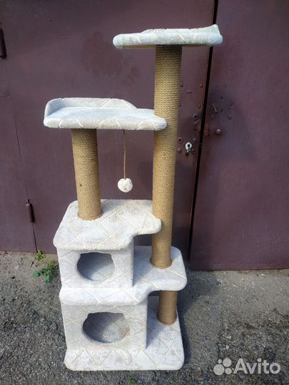 Когтеточки,комплексы