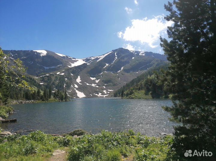 Трансфер, Авто экскурсии, Отдых