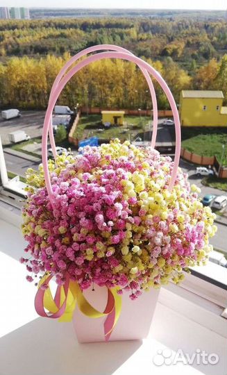 Цветы, композиции, гипсофила