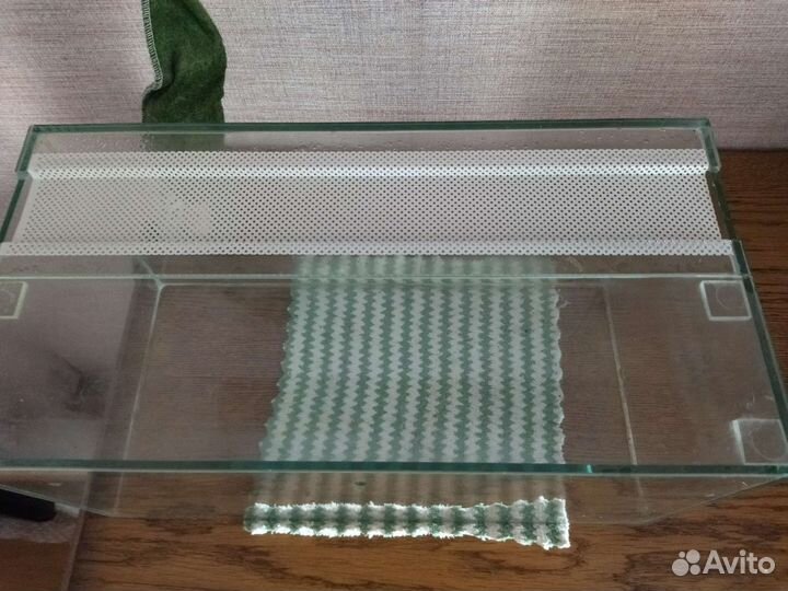 Улиточник, террариум