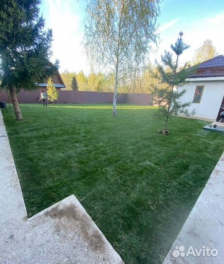 Укладка газона / рулонный газон