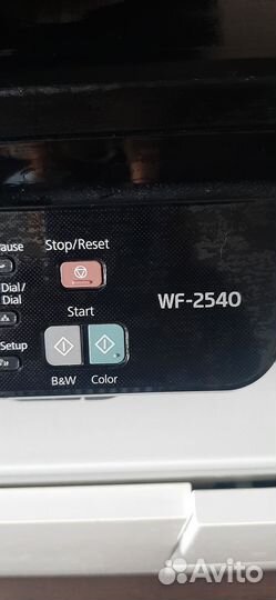 Принтер струйный мфу epson 2540