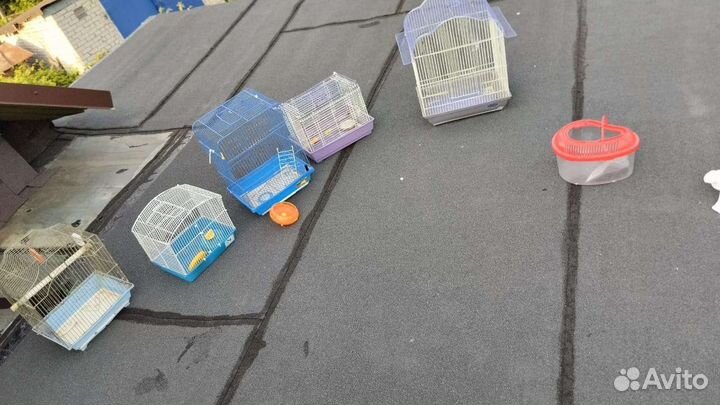 Клетка для грызунов