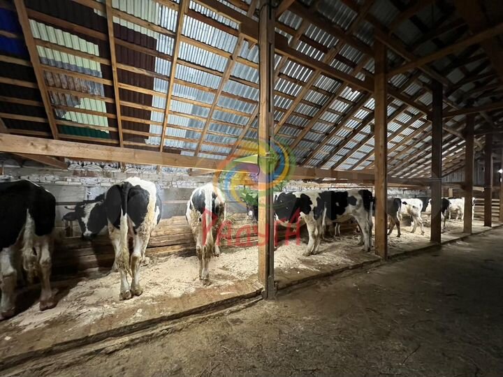 Готовый бизнес (Ферма и пилорама)